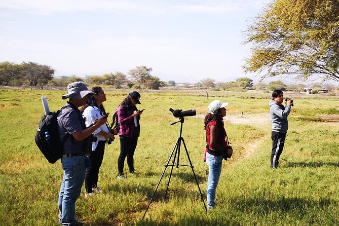 Nature Tour, Pómac Forest With Picnic Breakfast Included.