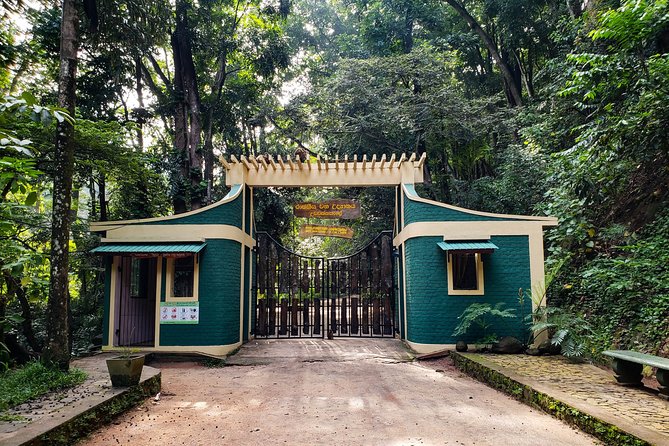 Nature Tour to Udawatte Kele Sanctuary, Kandy From Bentota