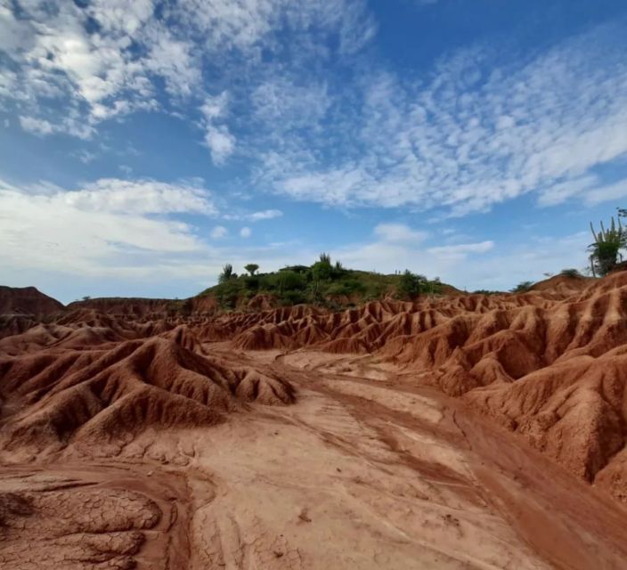 Neiva: Guided Day Trip to the Tatacoa Desert With Lunch