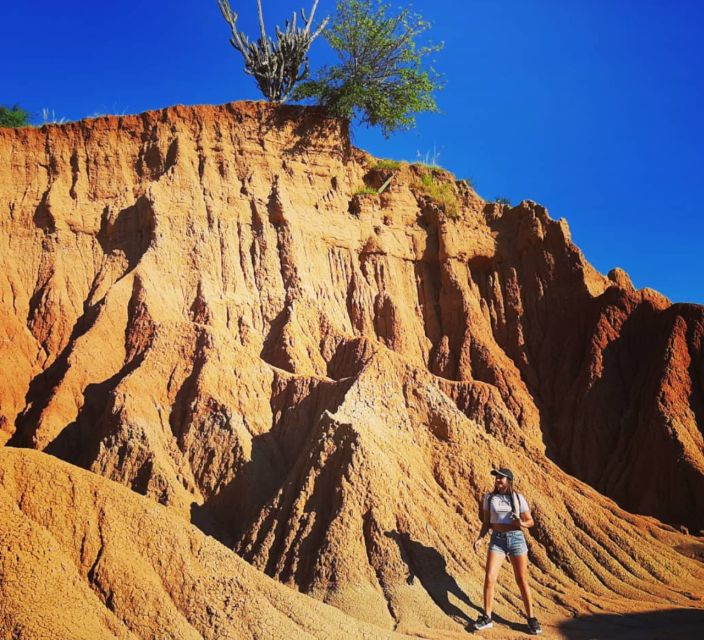 Best Guided Tours In Neiva