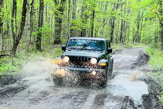 New River Gorge Jeep Tour (Half Day)