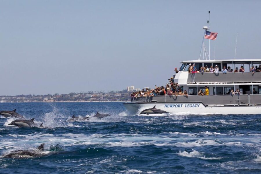 Newport Beach: Whale and Dolphin-Watching Cruise - Activity Overview