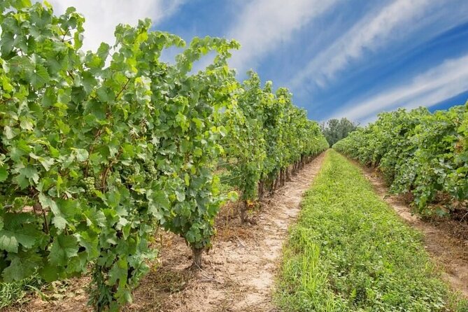 Niagara County Wine Tour and Tasting