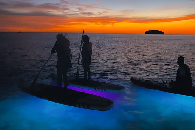 2 Best Canoe And Kayak Experiences In Kota Kinabalu