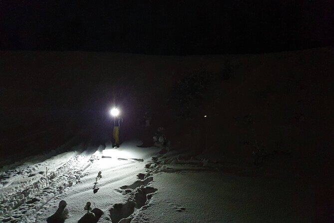 Night Time Ski Tour With Northern Lights Potential - Overview of the Ski Tour