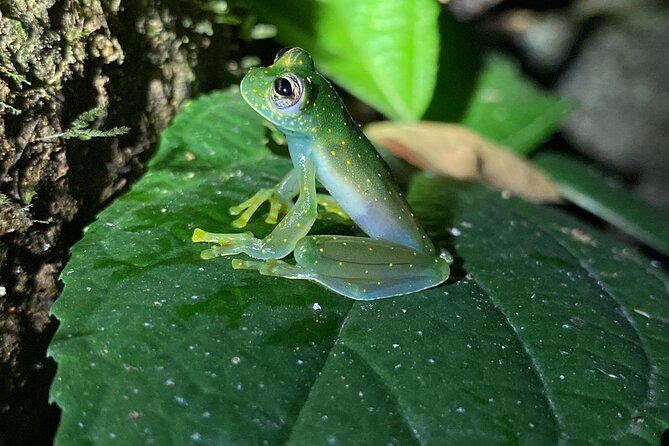 3 Best Guided Tours In Central Pacific