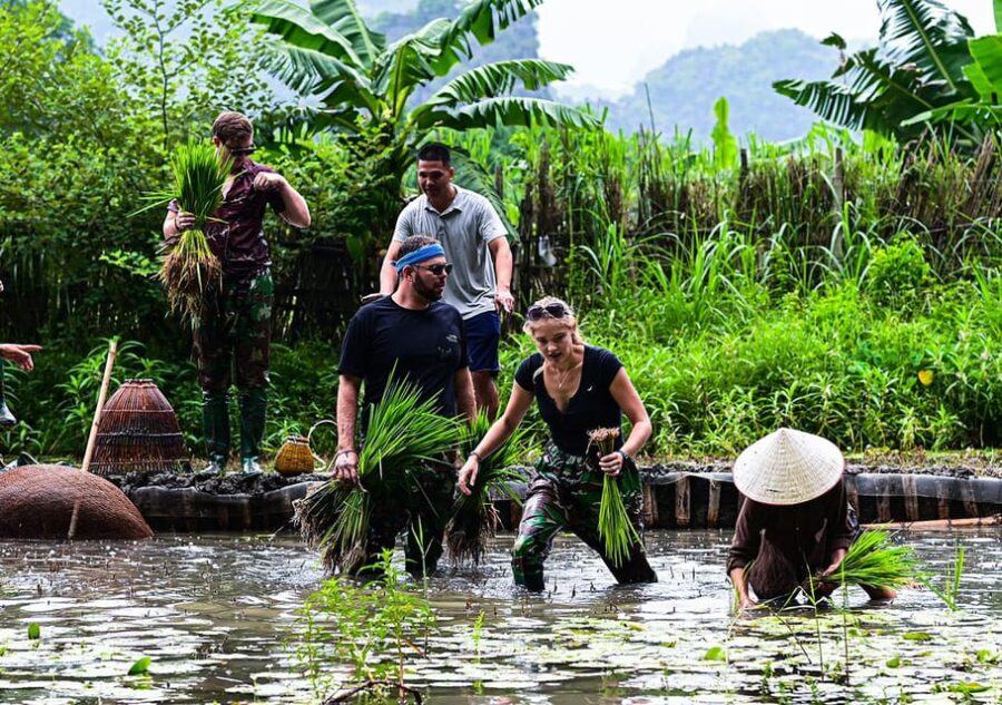 Ninh Binh: Rice Planting and Fishing by Basket Tour