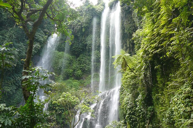 North Bali Tour: Banyumala Waterfall & Wanagiri Hidden Hills - Tour Overview
