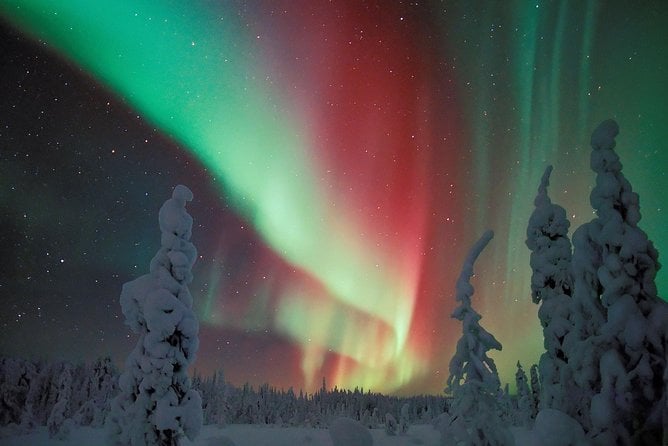 Northern Lights Hunt Including Snacks on Campfire From Levi