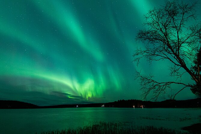 Northern Lights Hunting Tour From Rovaniemi With Guaranteed Views