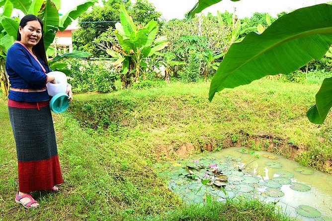 Northern Thai Cooking Class in Chiang Mai in a Countryside Home