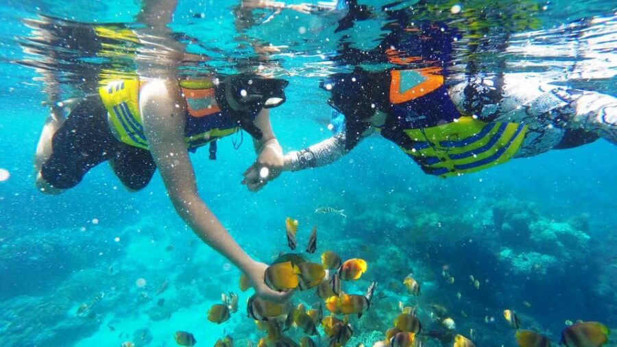 Nusa Dua Amazing Snorkeling Free Pick Up - Activity Overview