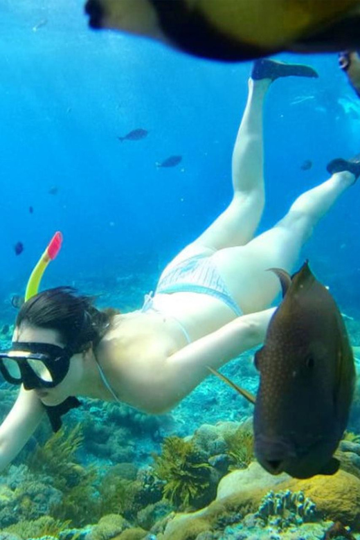 Nusa Penida: Snorkeling at 4 Spots With Colorful Fish