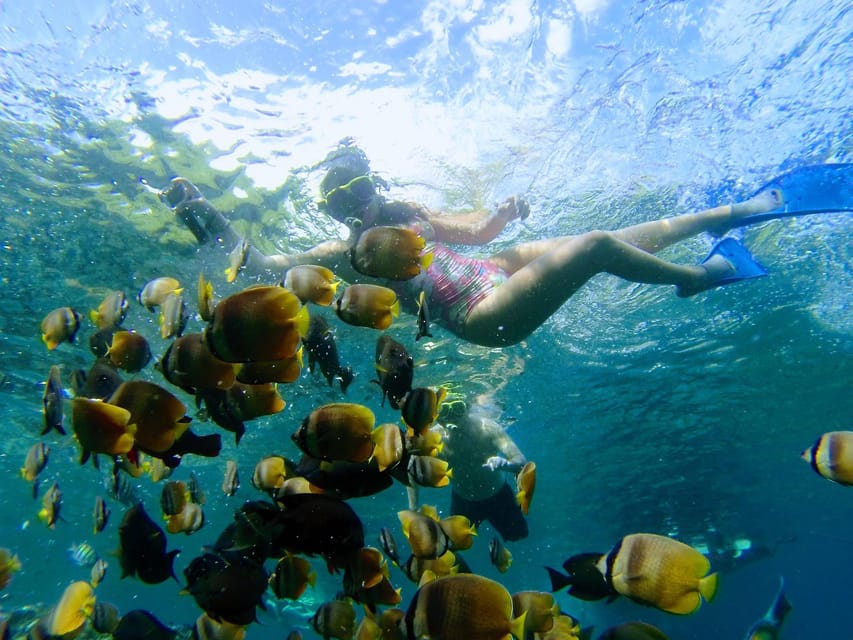 Nusa Penida: Snorkeling With Manta Rays Tour