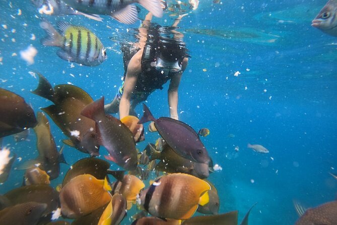 Nusa Penida Tour and Private Snorkelling at Manta, Gamat, Wall - Inclusions