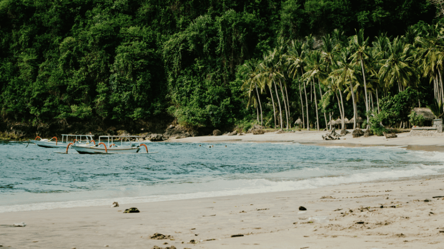 Nusa Penida Tour : Day Trip From Bali - Hotel Transfer - Tour Overview