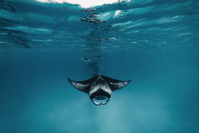 Nusa Penida West Tour With 3 Spots Snorkeling (All-Inclusive) - Pickup Information