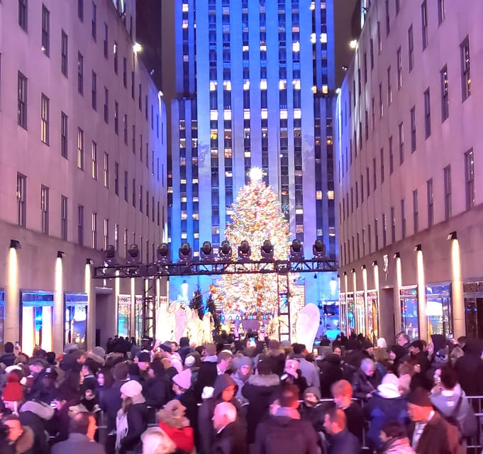 NYC: Christmas Lights Horse Carriage Ride