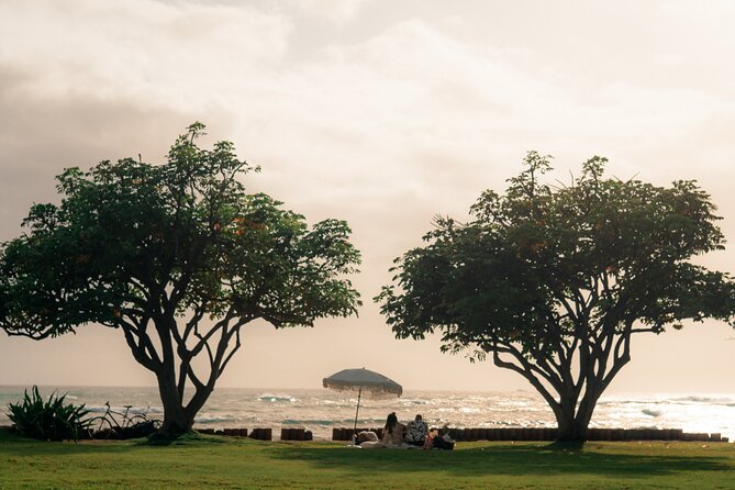 Oahu Beach Picnic: Private, Luxury Experience
