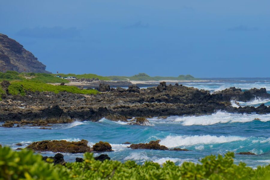 Oahu: Private Circle Island Tour Featuring Manoa Falls Hike - Itinerary Highlights