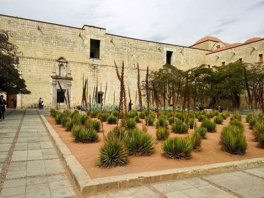 Oaxaca : City Tour - Tour Overview