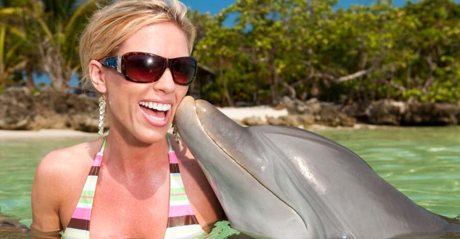 Ocho Rios Dolphin Cove Touch Encounter & Admission