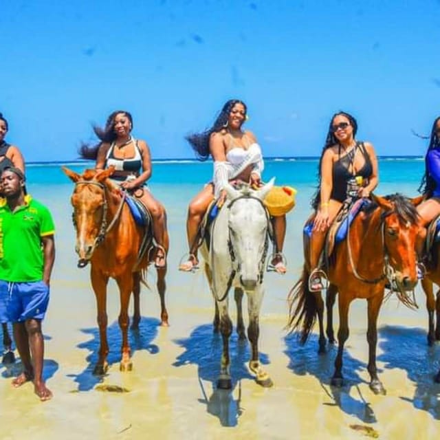 Ocho Rios: Horse Back Riding Transport