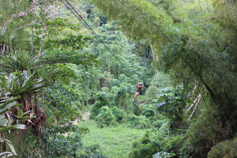 Ocho Rios: White River Jungle Zipline & Blue Hole Experience