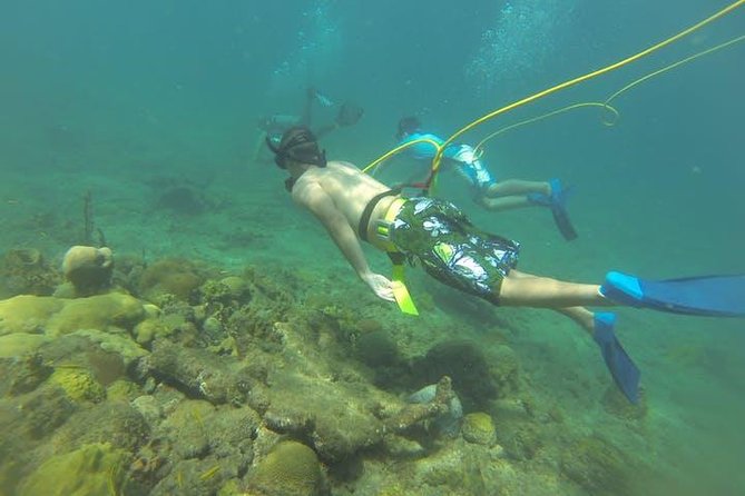 3 Best Scuba Diving Experiences In Rincon