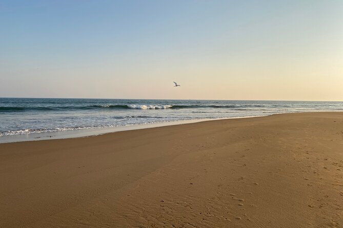 Odisha Temples and Cultural Tour