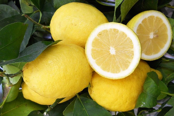 Oil & Lemon Walking Tour- the Essence of Sorrento