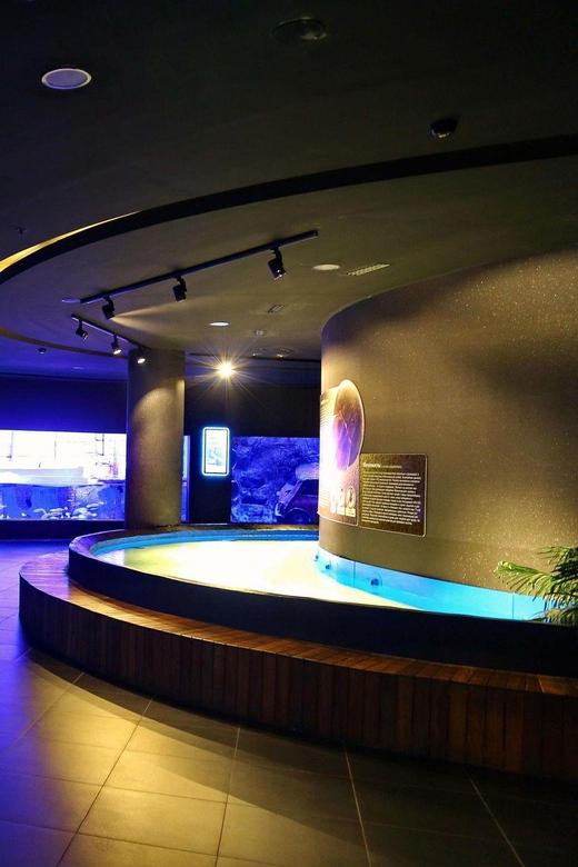 Okurcalar/Alanya: Antalya Aquarium Round-Trip Bus Transfer