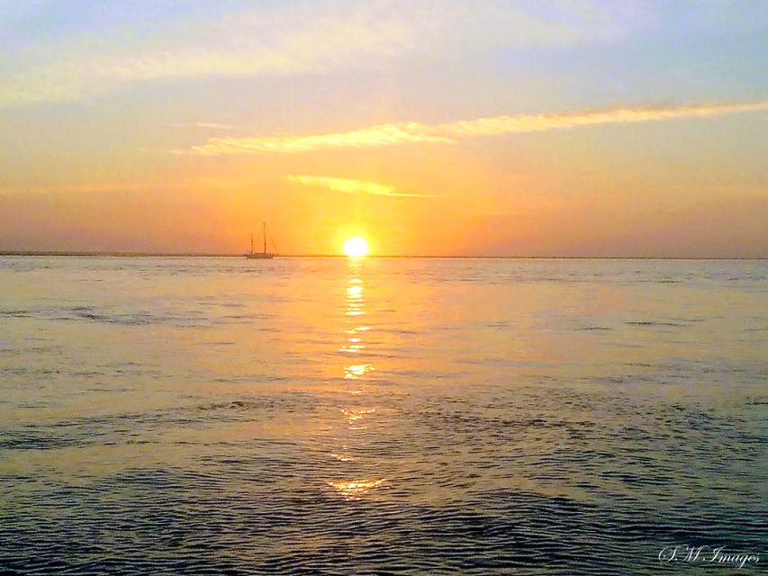 Olhão: Ria Formosa Tour