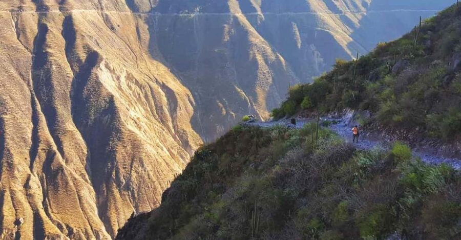 One Day Excursion to Colca Canyon + Transfer to Puno