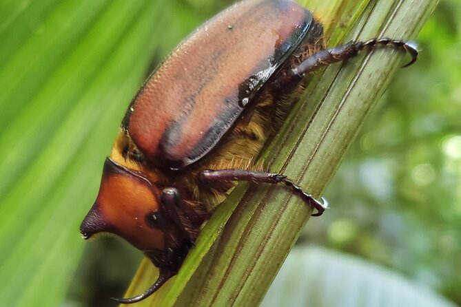 One Day Of Nature in Monteverde