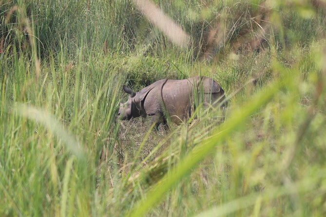 One Day Tour Inside Chitwan National Park - Inclusions and Exclusions