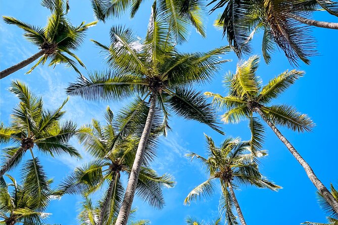One Day Tour Isla Tortuga With Lunch From Puntarenas