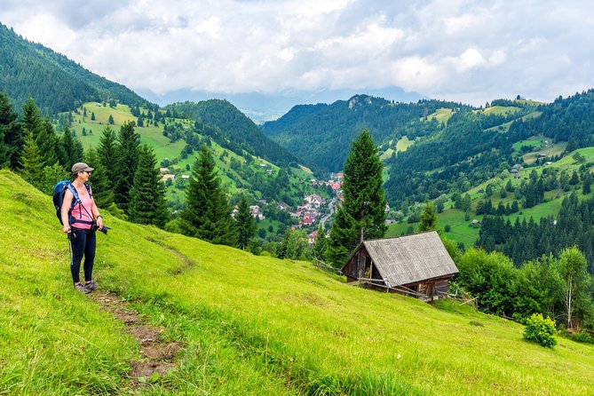 One Day Tour to Bran Castle and Hiking in Piatra Craiului National Park - Tour Overview