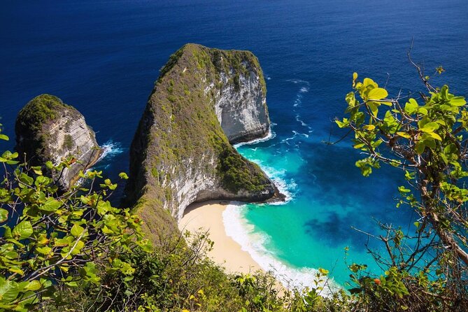 One Day Trip Nusa Penida Island - Overview of the Tour
