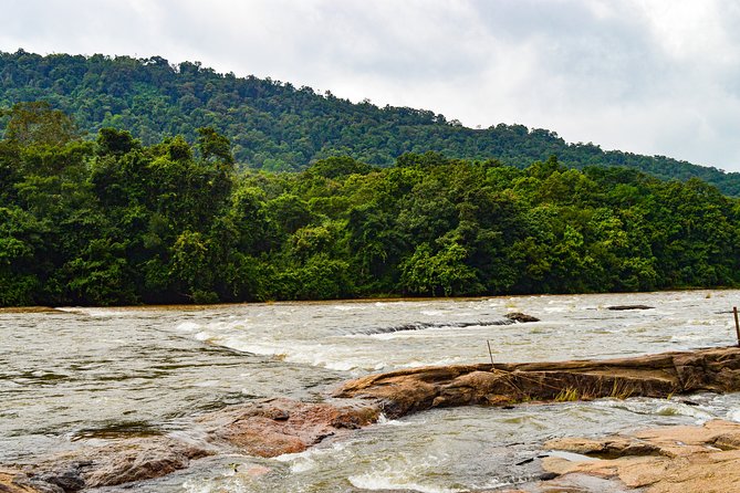One Day Trip to Athirapally Waterfall and Cherai Beach to Kochi. - Transportation and Accessibility