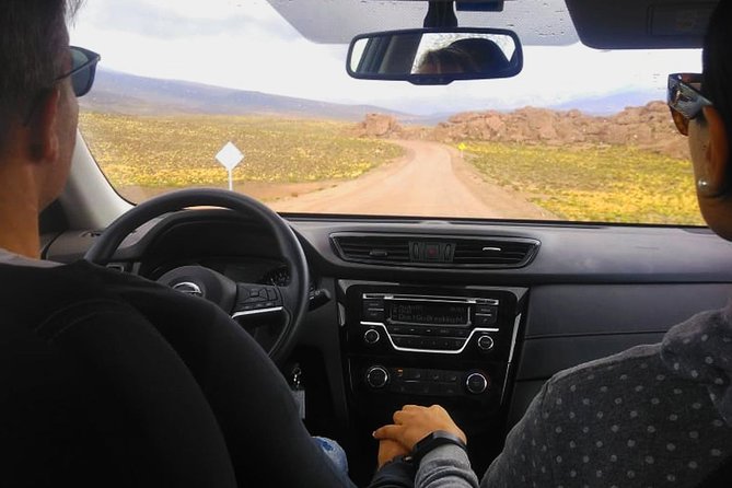 One Day With an Expert Guide in Your Car