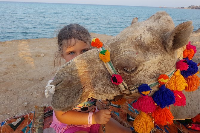 One Hour Camel Ride at Amazing Desert With Transfer - Hurghada - Booking and Cancellation Policy