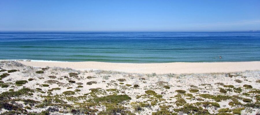 One-Way Private Transfer From Lisbon Airport to Comporta