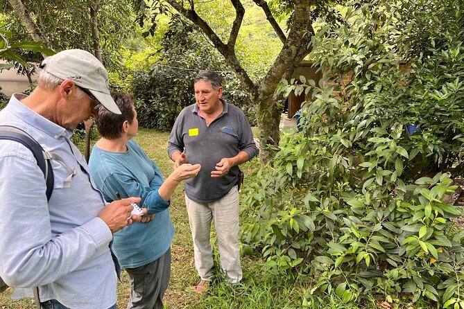 Organic Coffee Farm Tour