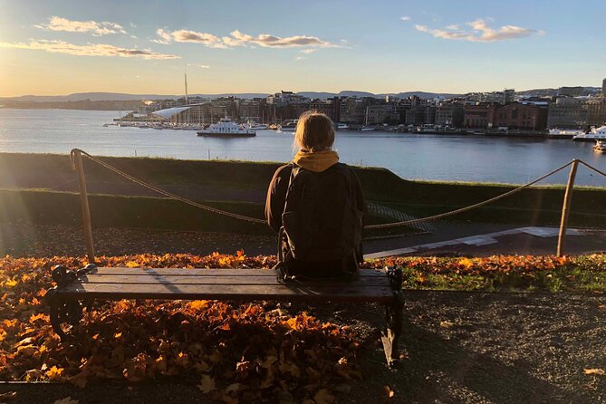 Oslo Unveiled: Private Walking Tour - Tour Highlights