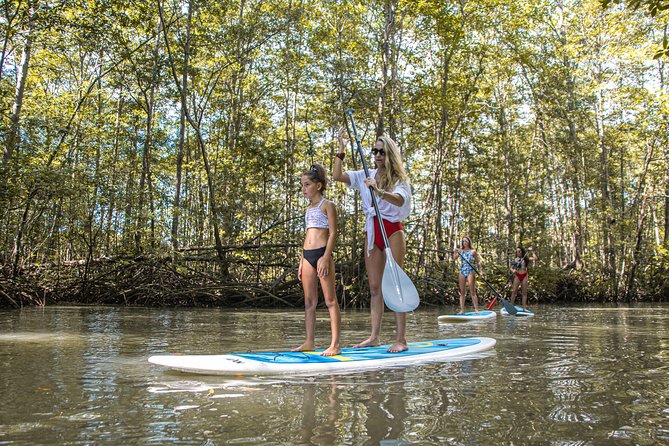 Paddle Board Mangrove Tour
