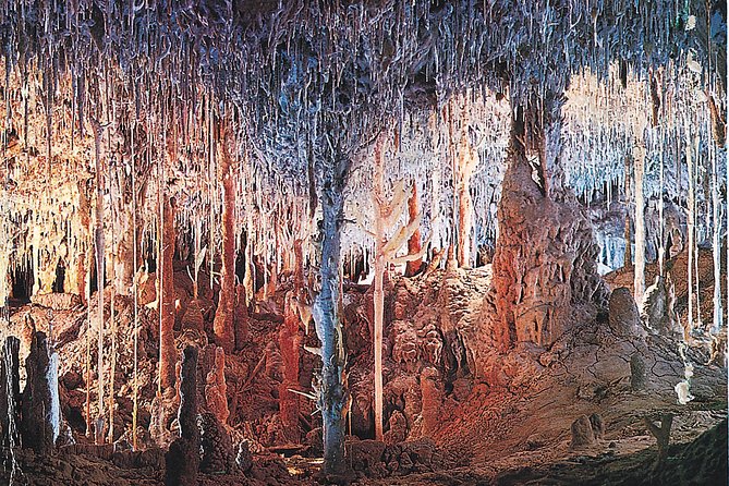 Palma De Mallorca Half-Day to Caves of Hams, Blue Cave and Film - Pricing and Booking Details