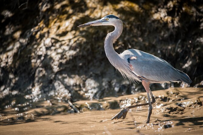 3 Best Lunch Experiences In Guanacaste and Northwest