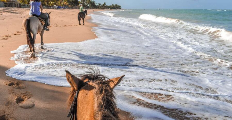 Palomino: Horseback Riding Tour on Palomino Beach