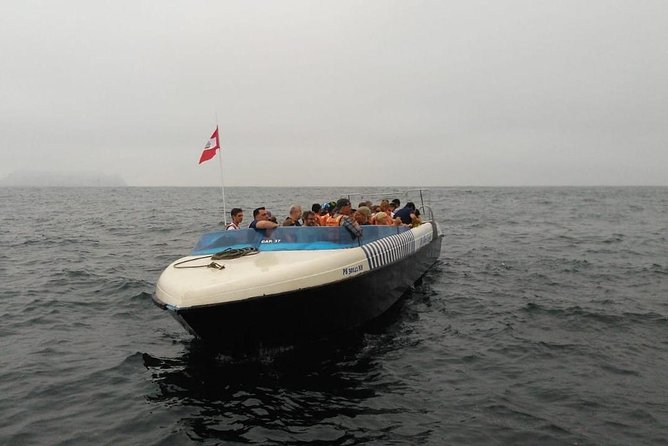 Palomino Islands Sea Lion Swimming Tour From Lima